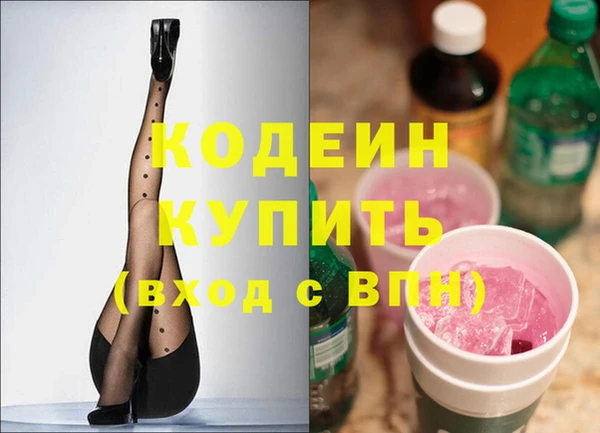 молекула духа Арсеньев