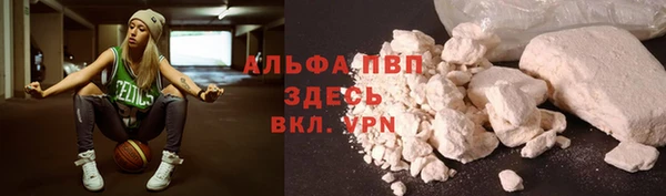 молекула духа Арсеньев