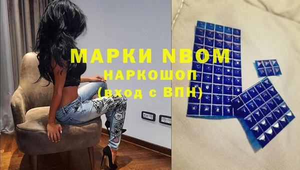 молекула духа Арсеньев