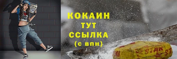 молекула духа Арсеньев