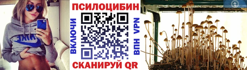 где продают   Белово  Галлюциногенные грибы прущие грибы 