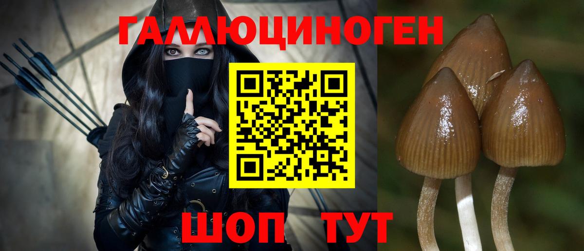 Белово  Псилоцибиновые грибы ЛСД  Вход с VPN 